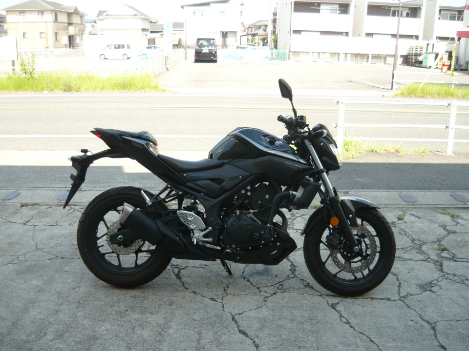 Yamaha MT-25 2019