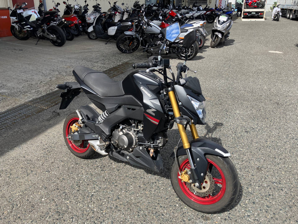 Kawasaki Z125 PRO 2021