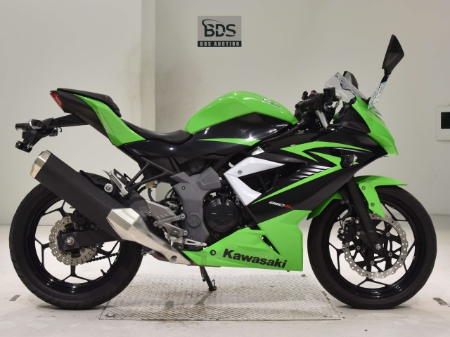 Kawasaki NINJA250 2015