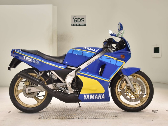 Yamaha TZR250