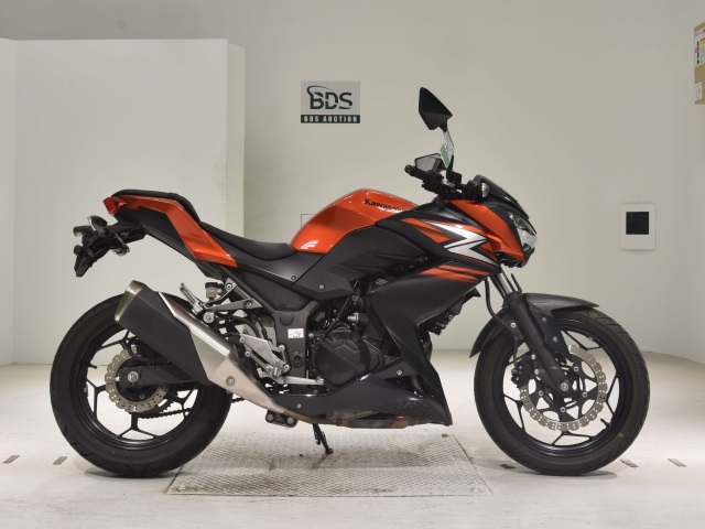 Kawasaki Z250 2014