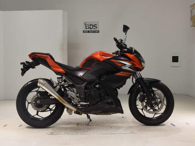 Kawasaki Z250 2014