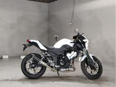 Kawasaki Z250 2013
