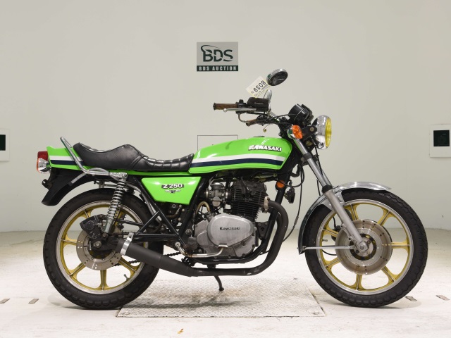 Kawasaki Z250FT