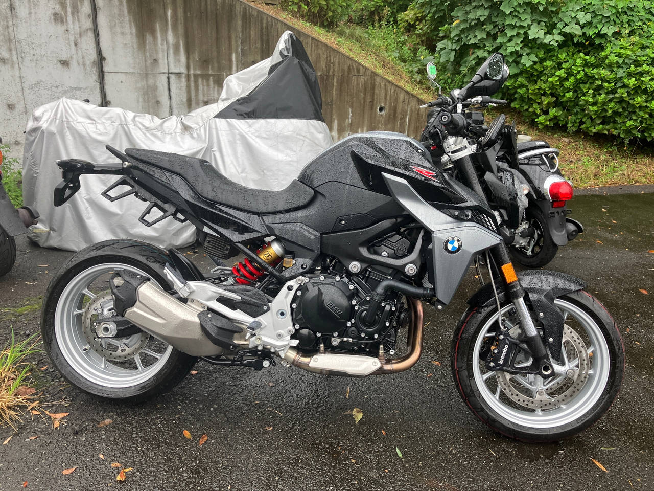 BMW F900R 2024