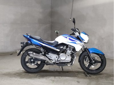Suzuki GSR250