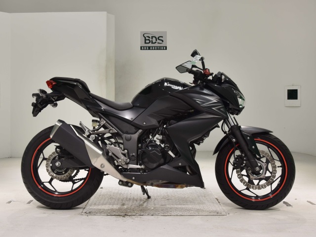 Kawasaki Z250A 2016