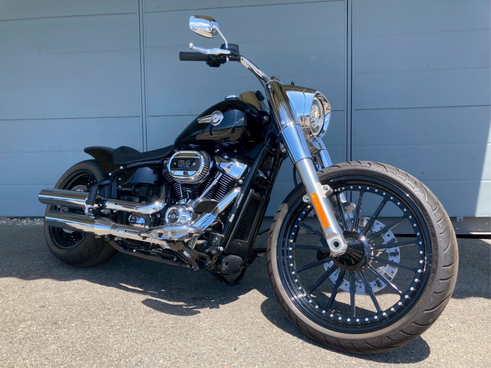 HD HARLEY FLFBS 2022