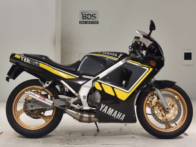 Yamaha TZR250