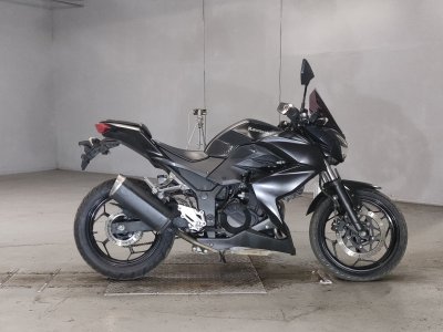 Kawasaki Z250 2013