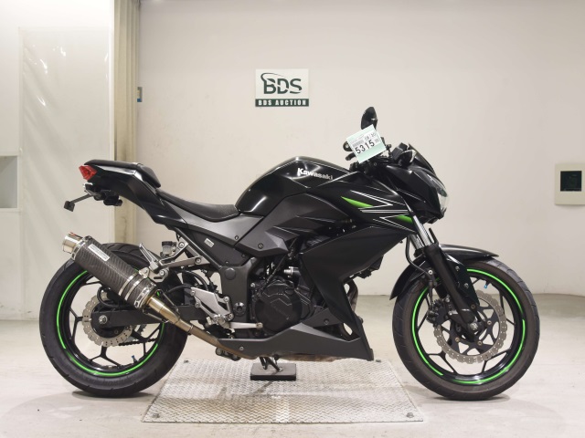 Kawasaki Z250 2013