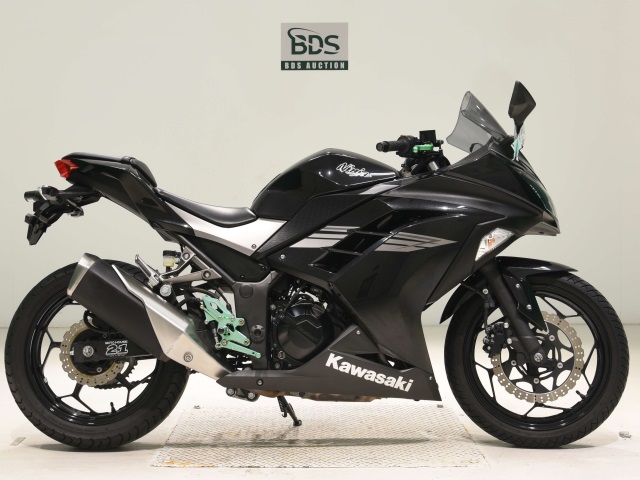 Kawasaki NINJA250 2017