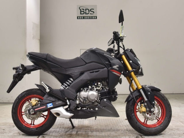 Kawasaki Z125 PRO 2021