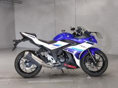 Suzuki GSX250R