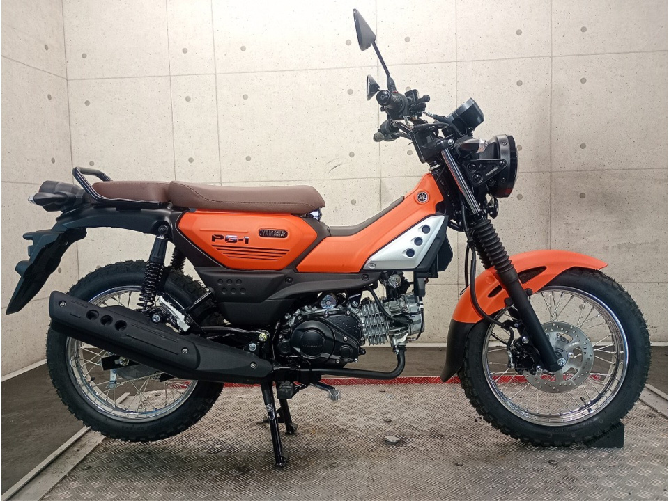 Yamaha pg-1 2024
