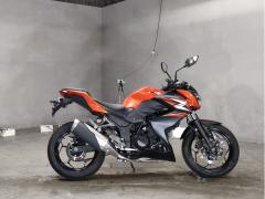 Kawasaki Z250 2014