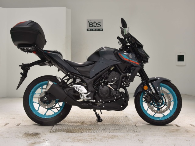 Yamaha MT-25 2022