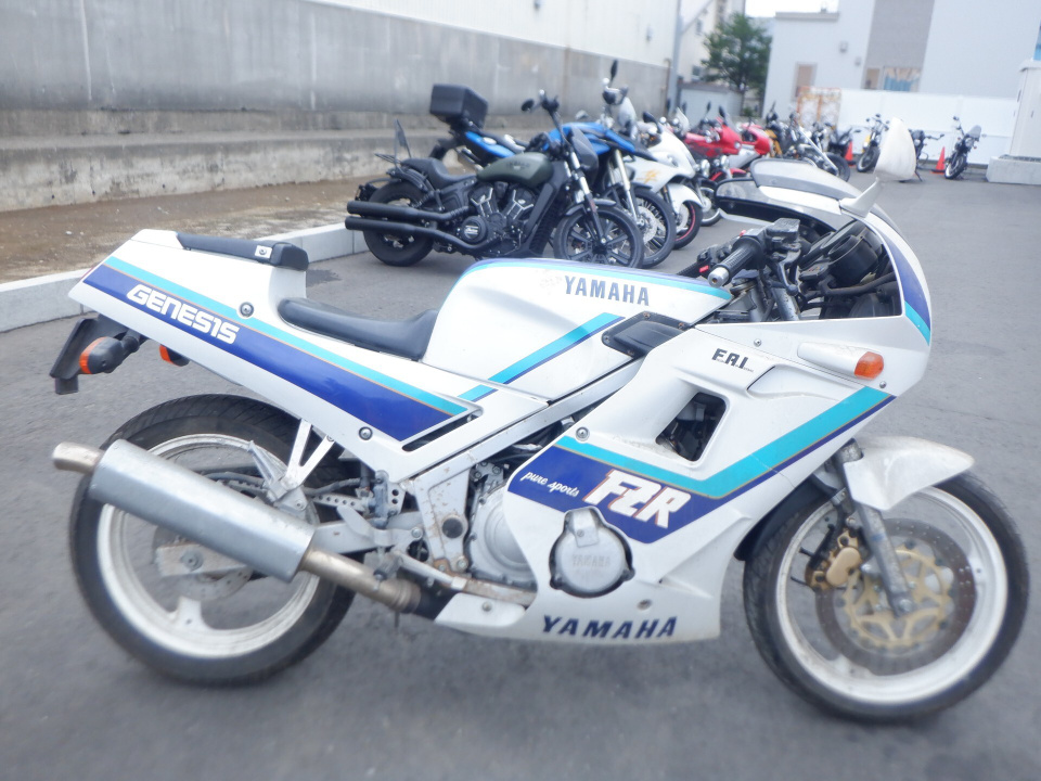 Yamaha FZR250 1988