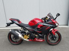 Kawasaki NINJA400 2019