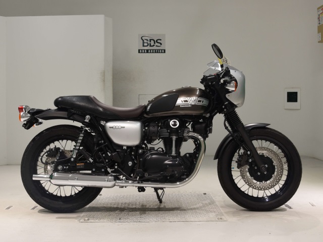 Kawasaki W800 2020