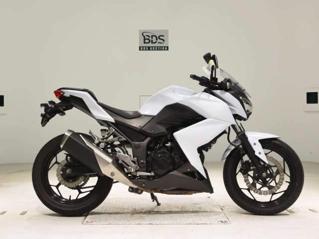 Kawasaki Z250 2013