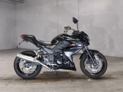 Kawasaki Z250 2016