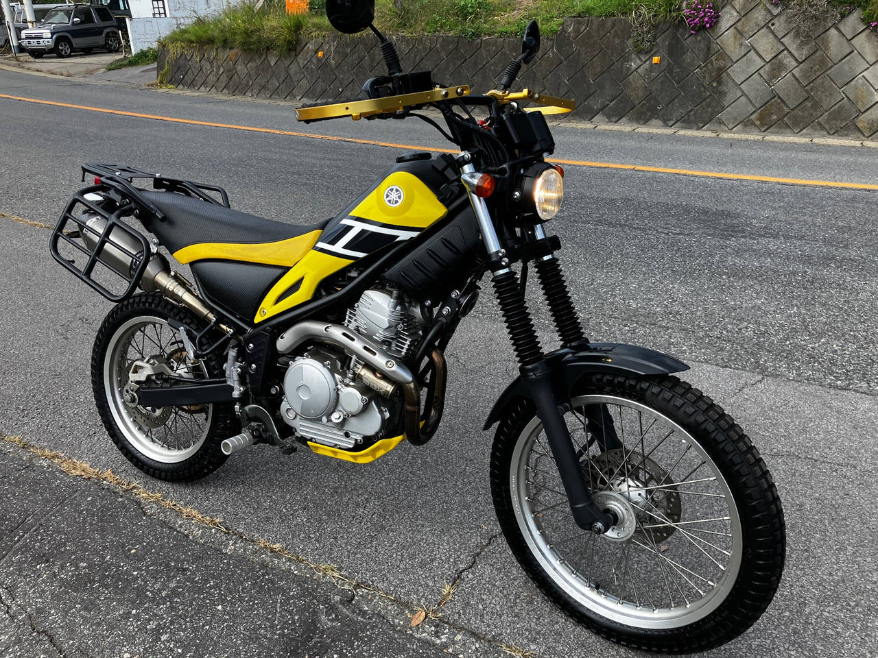 Yamaha TRICKER 2010