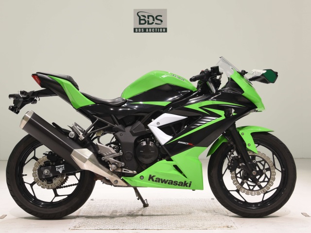 Kawasaki NINJA250 2015