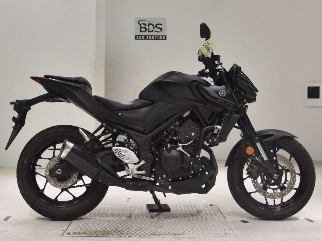 Yamaha MT-25 2022