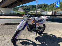 Yamaha TT250R RAID 1995