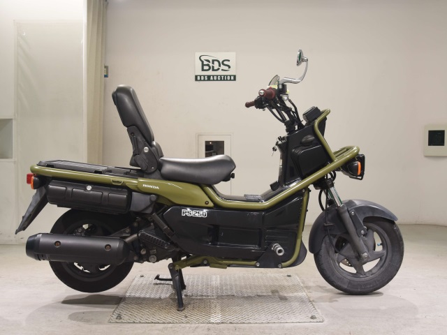 Honda PS250 BIG RUCKUS 2004