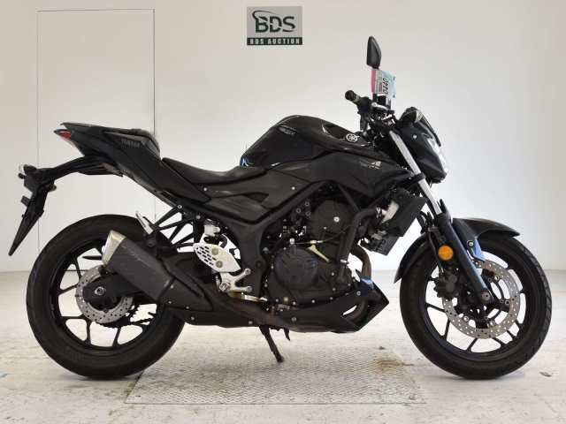 Yamaha MT-25 2017