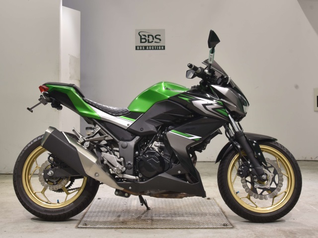 Kawasaki Z250A 2017