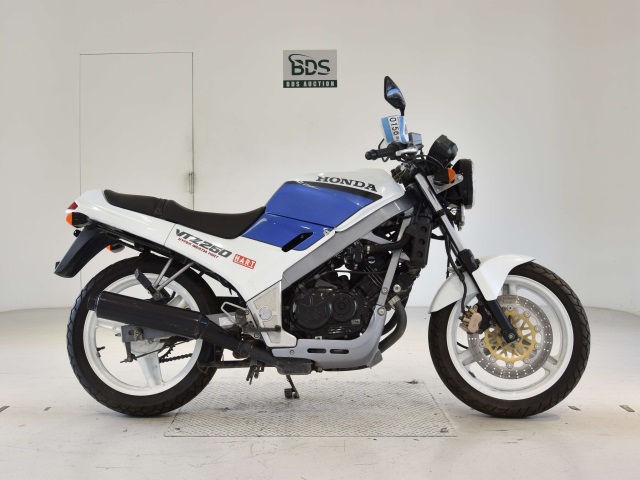 Honda VTZ250 1988