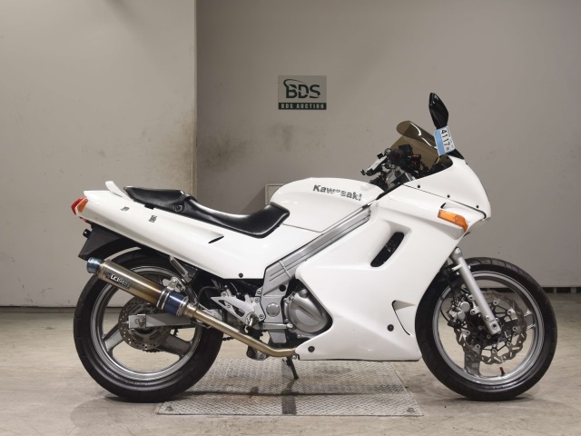 Kawasaki ZZ-R250 2002