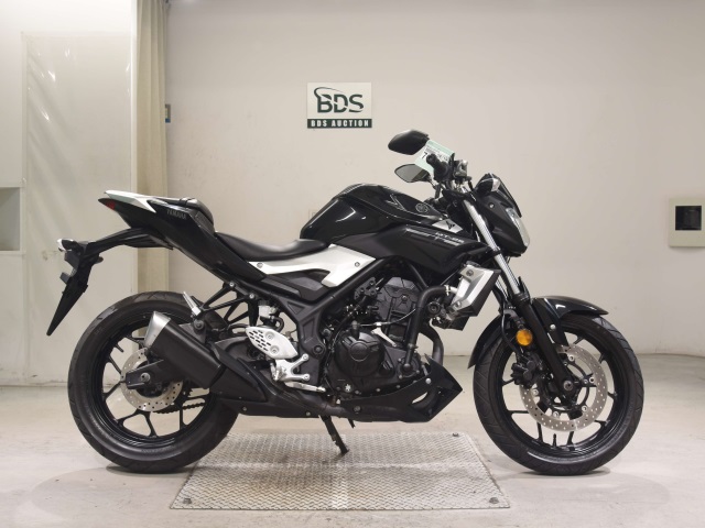Yamaha MT-25 2019