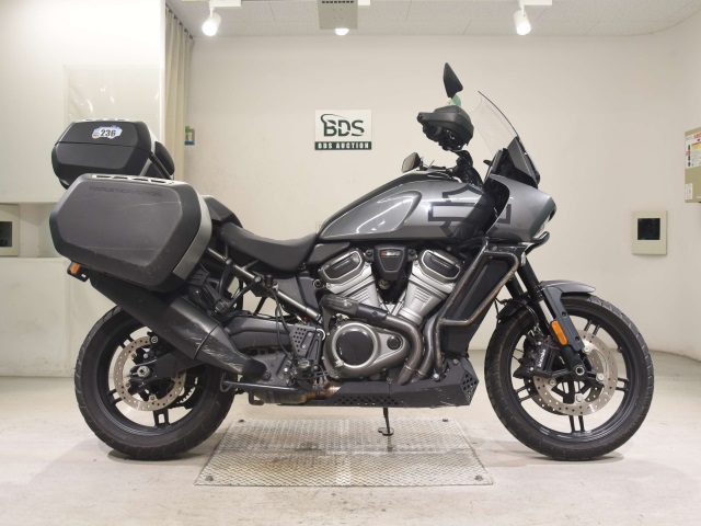 HD PAN AMERICA1250 S 2022