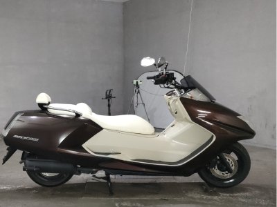 Yamaha MAGZAM 2007