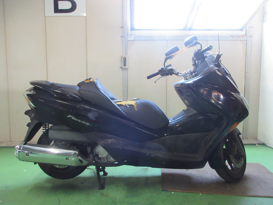 Honda FORZA Z 2009