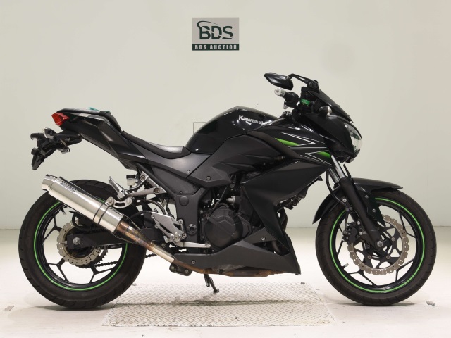 Kawasaki Z250 2013