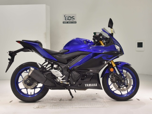 Yamaha YZF-R3 2019