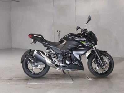 Kawasaki Z250 2013