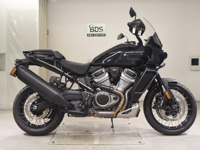 HD PAN AMERICA1250 S 2022