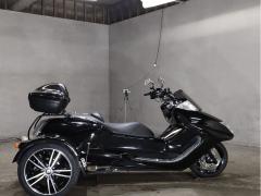 Yamaha MAXAM250 TRIKE 2012