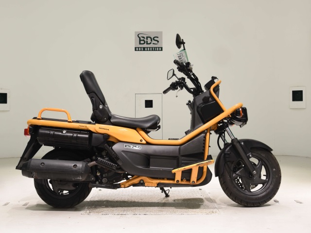 Honda PS250 BIG RUCKUS 2004