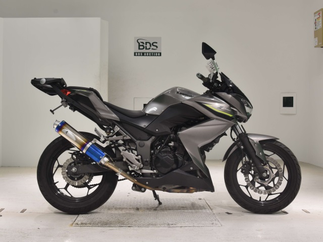 Kawasaki Z250A 2017