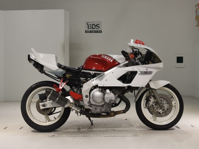 Yamaha FZR250 1990