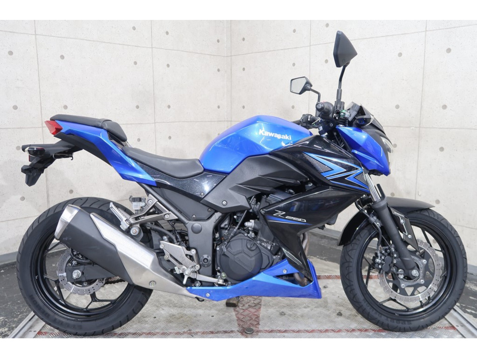 Kawasaki Z250 2015