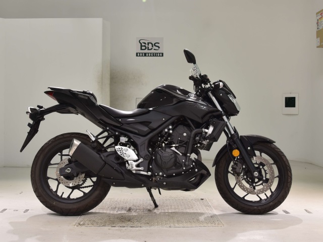 Yamaha MT-25 2019