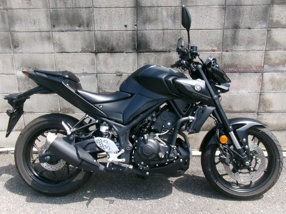 Yamaha MT-25 2022